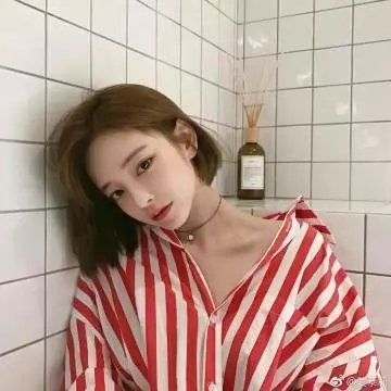 狮子今夜入睡
